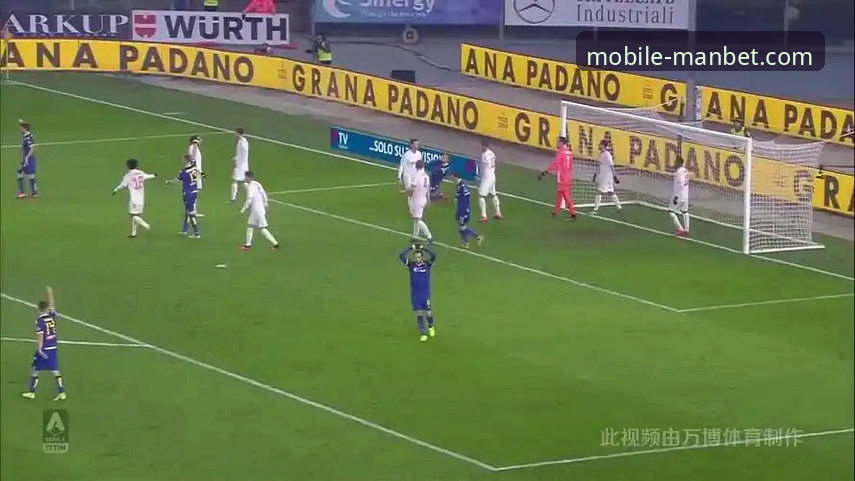 万博体育平台：追求最新功能 vs 选择稳定版本，哪个是明智之选？